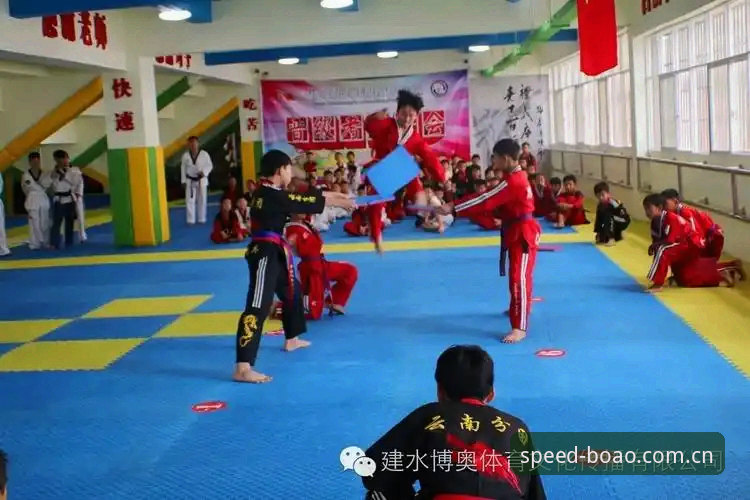 博奥体育平台安全吗？深入解析博奥体育有病毒吗的真相
